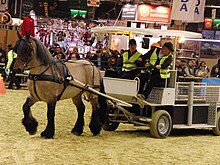 Poitevin horse harnessed during the Trait d'avenir attelage competition in the maneuverability event, representing the difficulties encountered by the municipal horse during its urban work. Salon international de l'agriculture 2013, Paris. Cheval-poitevin trait d avenir attelage SDA2013.JPG