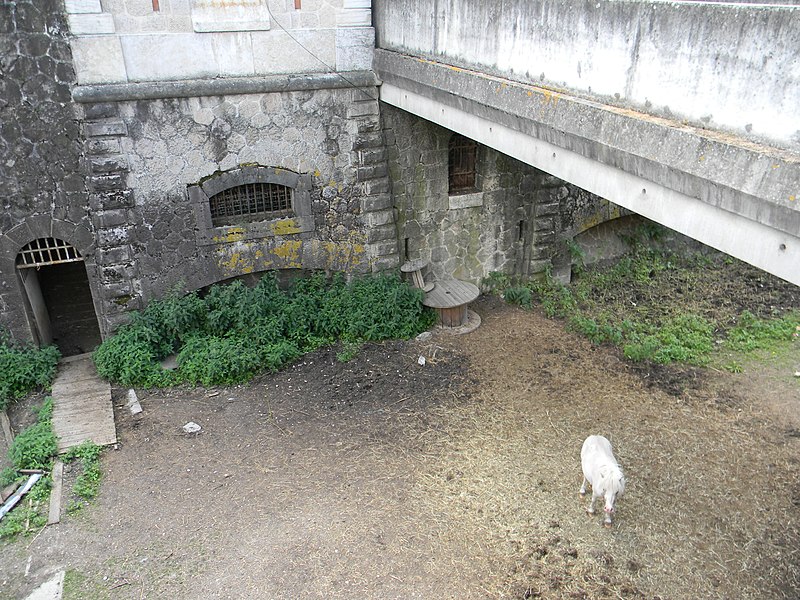 File:Cheval fossé Fort de Montcorin.JPG