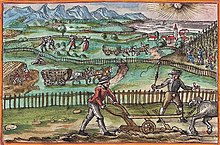 A 16th century depiction of agriculture on the Plateau Christoph Silberysen Agriculture.jpg