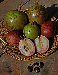 State Fruit of Suriname