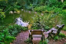 Seating by the upper river in Byron's Pool Local Nature Reserve Cmglee Cambridge Byrons Pool seating.jpg