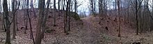 Vista de un terraplén en el bosque.