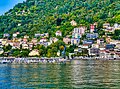 Como Vista sul Lago di Como & Sobborgi 10.jpg