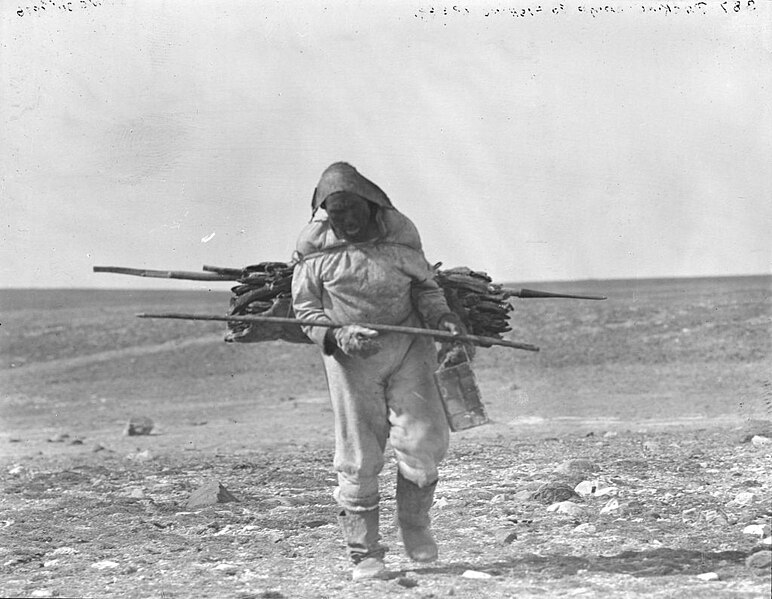 File:Copper Inuk backpacking at Bernard Harbour (51651).jpg