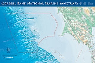 File:Cordell Bank National Marine Sanctuary.jpg - Wikimedia Commons