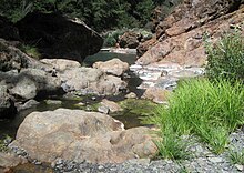 Rice Fork at Crabtree Hot Springs