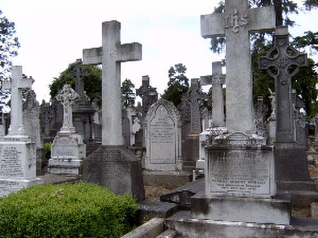 Crosses at Glasnevin Cemetery