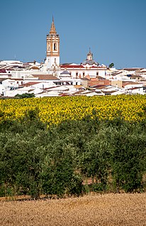 Rociana del Condado Place in Andalusia, Spain