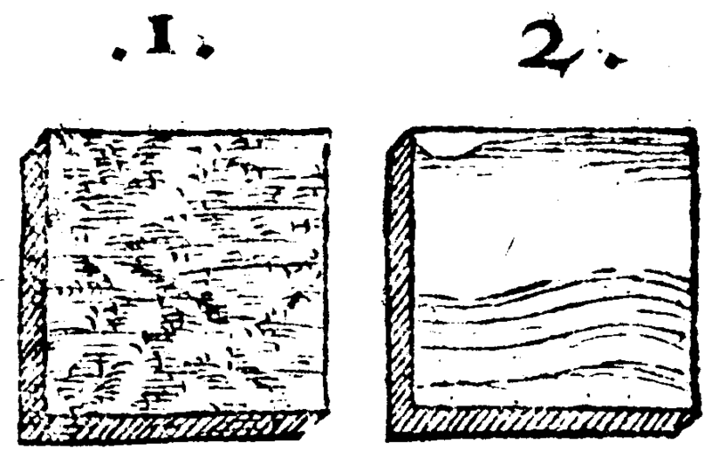 File:De rerum fossilium-107r-1.png