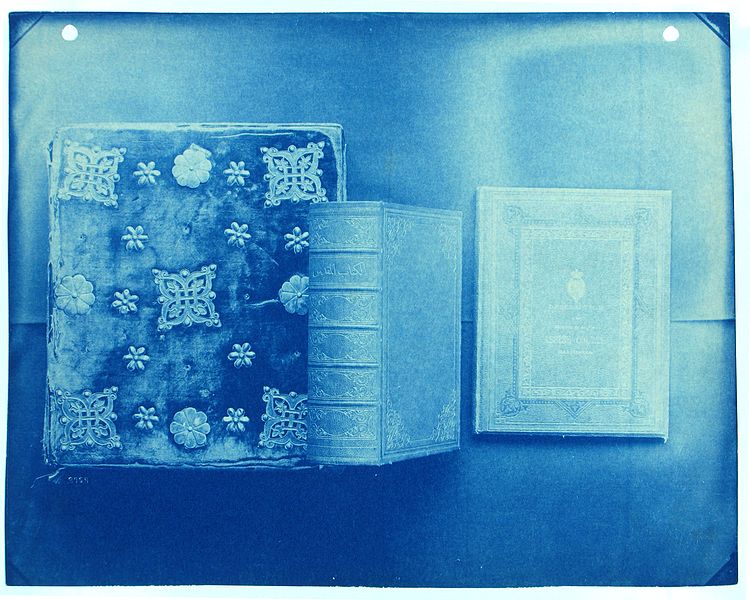 File:Description- As the Smithsonian's first photographer and curator of photography, Thomas Smillie used images to catalog the much of the institution's physical object collection, ranging from stuffed (2575040769).jpg