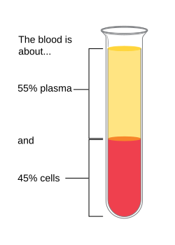 File:Diagram of what is in blood CRUK 050.svg