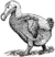 Dodo 2 (PSF).png