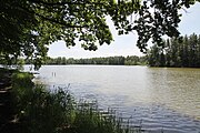 Čeština: Dolní velký rybník (24,78 ha) v k.ú. Údolí u Nových Hradů, obec Nové Hrady, okres České Budějovice. English: Dolní velký pond in Nové Hrady, České Budějovice District, South Bohemian Region, Czechia.