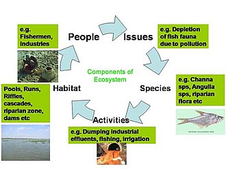 Components of the Maharashtra freshwater ecosystem Ecosystem Componants.jpg