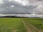 Gallberg (Havelsee)