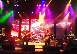 Električni Orgazam tritt 2008 beim Jelen Pivo Live Festival auf