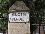 Elgin Avenue