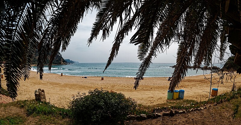 File:Ermita de Santa Cristina (Lloret de Mar) - Platja de Santa Cristina - Costa Brava beach with Palm Trees 01.jpg