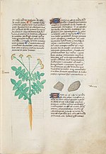 Miniatuur voor Bestand:Estense alfa.l.09.28, f.022r.jpg