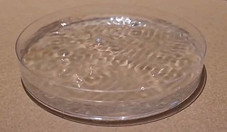 <span class="mw-page-title-main">Faraday wave</span> Ripples on liquid within a vibrating receptacle