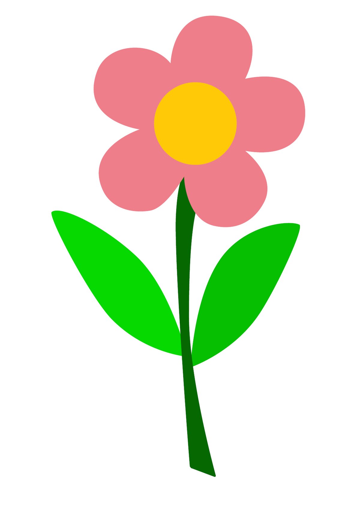 File:Fiore petali rosa.jpg - Wikimedia Commons