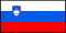 Flag of Slovenia (bordered).svg