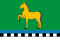 Flag of Toguchin (Novosibirsk oblast).png