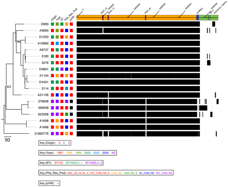 File:Flickr-Streptomycin.png