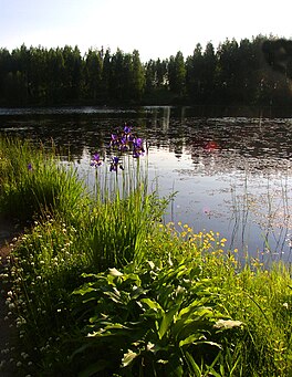 Flickr - Per Ola Wiberg ~ mostly away - iisalmi.jpg