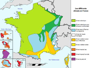 Francia: Storia, Geografia, Società