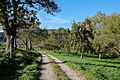 Franziskusweg Deggenhausertal-3085.jpg