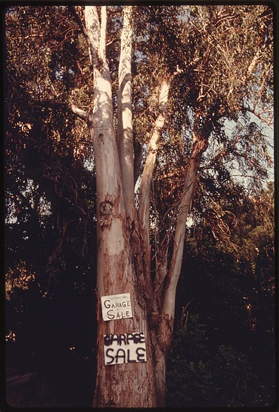 File:GARAGE SALE SIGN ATTACHED TO A TREE OFF MULHOLLAND DRIVE IN THE SANTA MONICA MOUNTAINS DENOTES RECENT DEVELOPMENT... - NARA - 557556.jpg