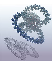 The first billion atom simulation of an entire gene (GATA4). GATA4-structure.jpg