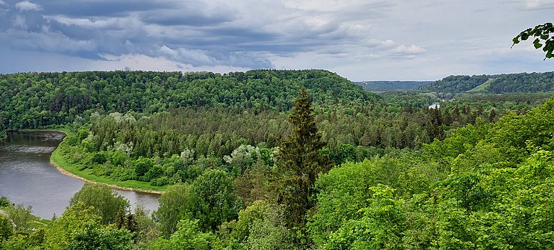 Attēls:Gaujas senleja Sigulda.jpg