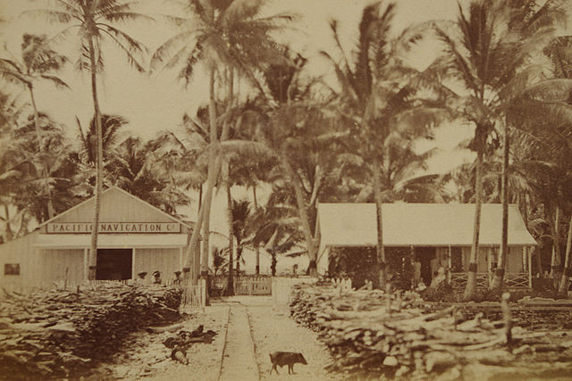 Offices of the Pacific Navigation Co. at Jaluit Atoll in the late 1880s