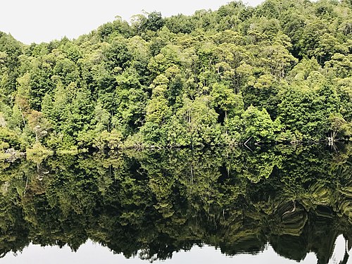 Gordon River, Tasmania