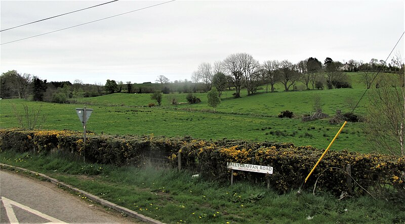 File:Grazing land at the junction of the Ballygraffan Road and the A22 (Killinchy Road) - geograph.org.uk - 5369939.jpg