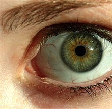 Πράσινο μάτι