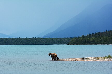 Katmai National Park and Preserve (Alaska)