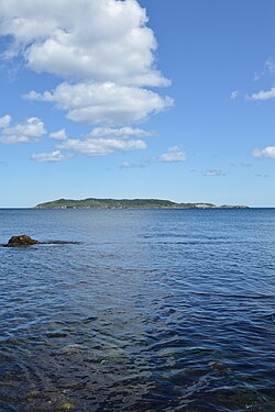 Gull Island viewed from Ragged Cove