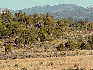 <span class="mw-page-title-main">HD Mountains</span> Mountain range in Colorado, United States