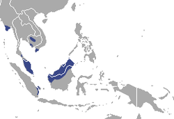 Distribución de la nutria de Sumatra