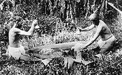 Hawaiian men pounding poi, c. 1890.jpg