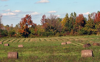 Geneseo, New York, USA