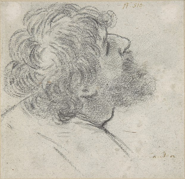 File:Head of a Bearded Man Looking to Upper Right (recto); Head of an Old Man and a Drapery Study (verso) MET DP809056.jpg