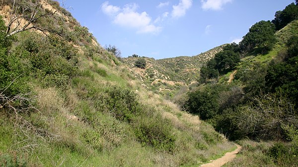 Coastal sage and chaparral typical of the southwestern and central portions of the valley.