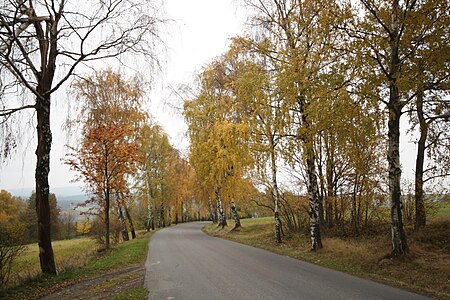 Route de Hlinsko en automne.