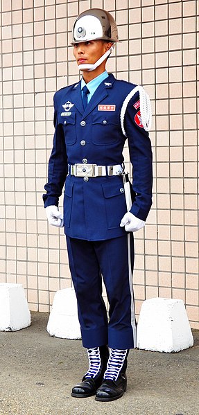 File:Honor Guard of ROCAF Standing for Photo 20120602 (cropped).jpg