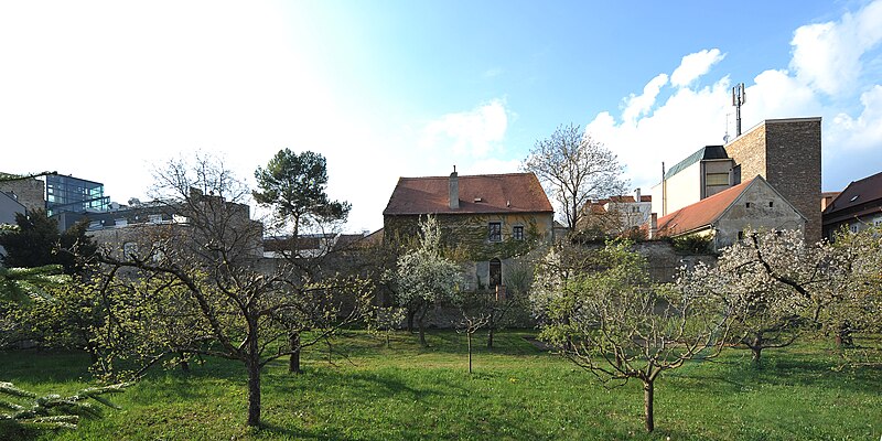 File:Horn Stadtmauer 5822.jpg