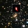Hubble and ALMA image of MACS J1149.5+2223.jpg